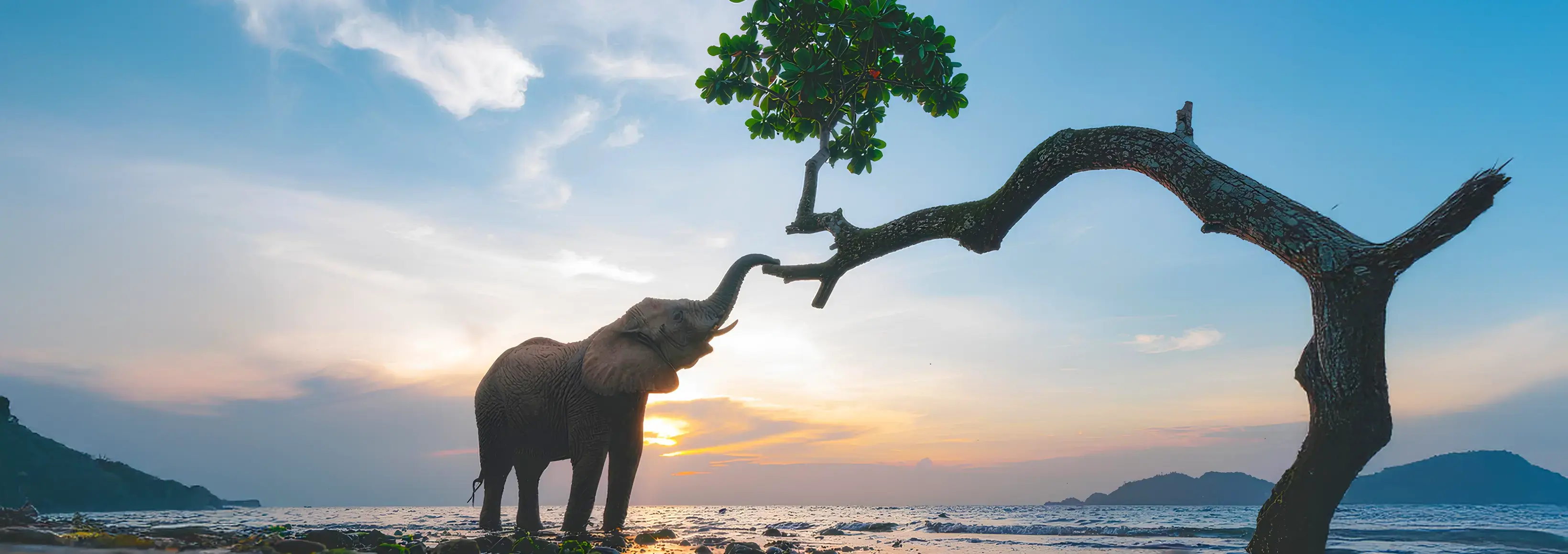 SÜRDÜRÜLEBİLİRLİK