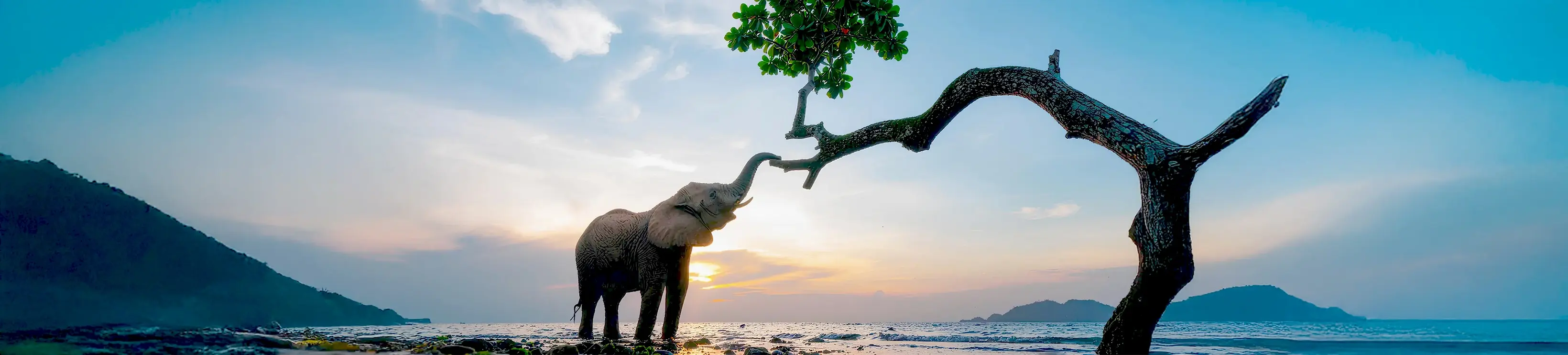 SÜRDÜRÜLEBİLİRLİK